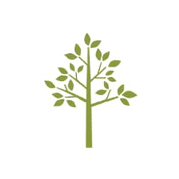 CF_Icon17
